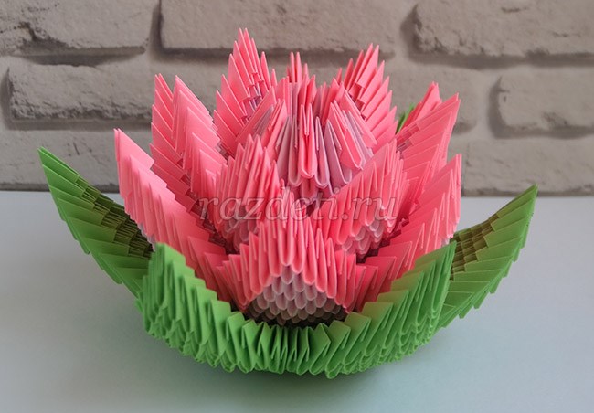 Цветок лотоса – оригами сборка