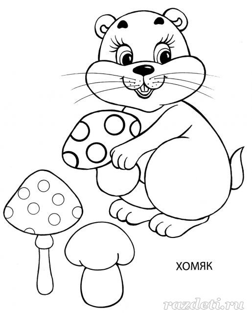 Раскраска «Игрушка Хомяк» для детей 4-6 лет