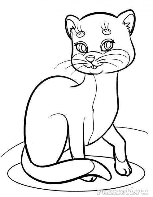 Котёнок. Раскраска для детей дошкольников