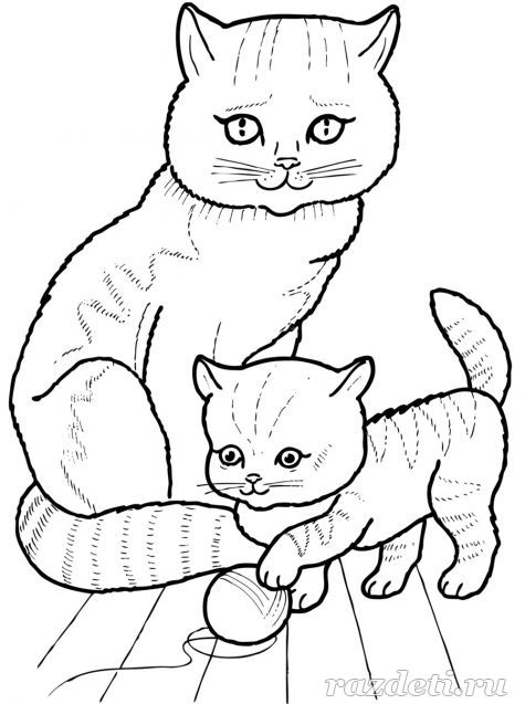 Кошка и котёнок. Раскраска для детей