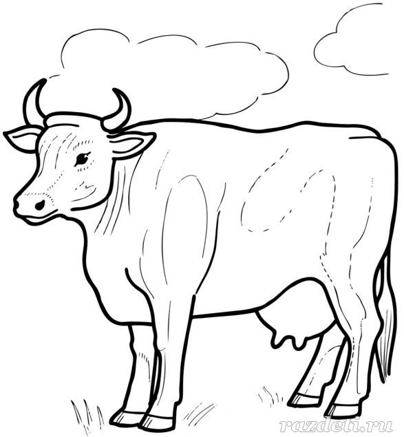 Корова. Раскраска для детей