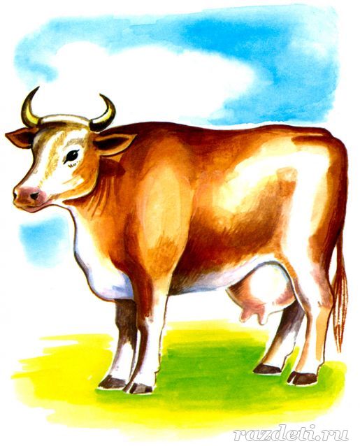 Корова. Картинка для детей