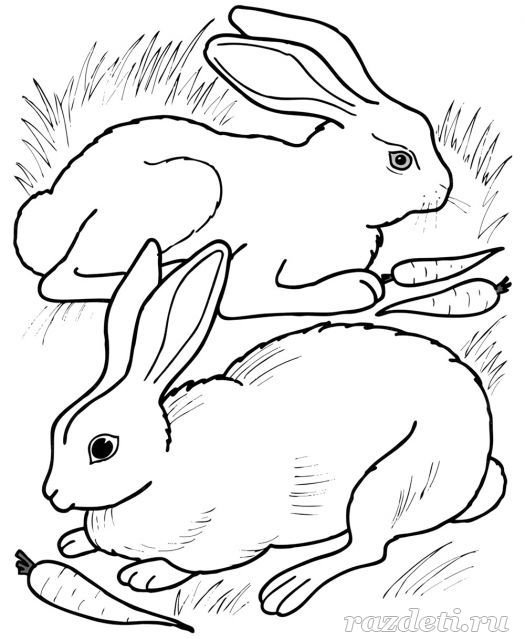 Кролики. Раскраска для детей