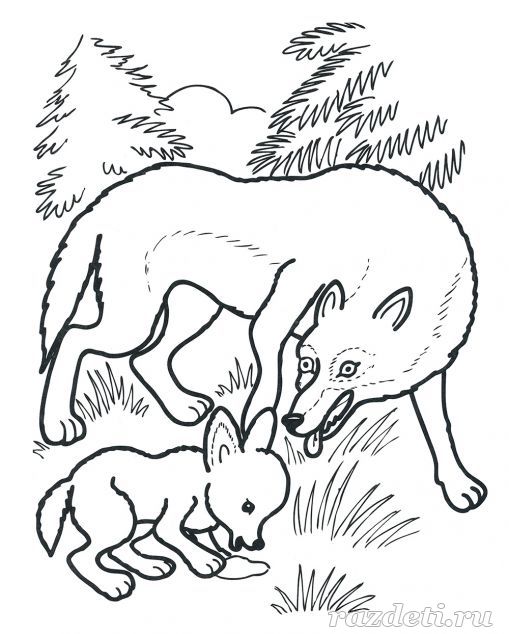 Волк. Раскраска для детей 5-7 лет