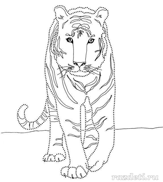 Раскраска для детей. Тигр