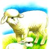 Овца и ягнёнок. Картинка для детей