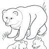 Медведь с медвежатами. Раскраска для детей 5-7 лет